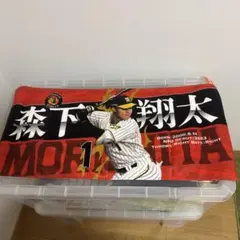 2026年最新】森下翔太 タオルの人気アイテム - メルカリ