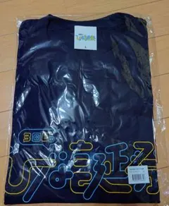 3回目のひな誕祭ロゴTシャツ