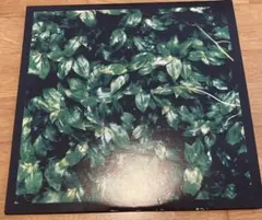 エレファントカシマシ ココロに花を アナログ - メルカリ