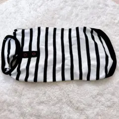 Item thumbnail for item 16378d90-a3ea-4cb2-a38f-17a829d7a679