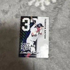 Item thumbnail for item def58fb7-f0e1-44e6-a477-62a98a79b575