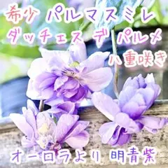 ✿Dom❤Mia✿様 リクエスト おまとめ5点 - メルカリ