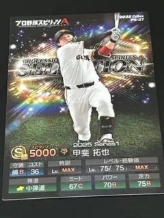 プロスピAチップスカード甲斐拓也