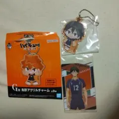 一番くじ ハイキュー!! ゴミ捨て場の決戦2 　G賞 烏野アクリルチャーム