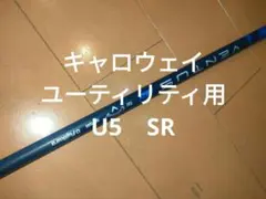 Item thumbnail for item deabf4d3-7f84-4573-8095-fba7244d2992