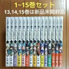 新妹魔王の契約者 (テスタメント) 小説全15冊セット　上栖綴人　BD付き 新妹魔王の契約者 (テスタメント) 小説全15冊セット 上栖綴人 BD付き