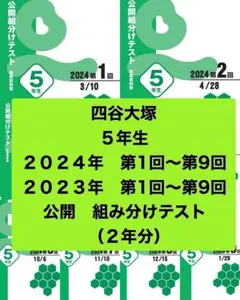 2026年最新】公開組み分けテストの人気アイテム - メルカリ