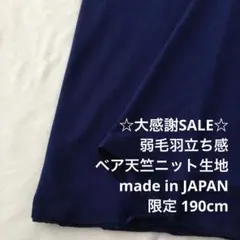 2FX/5910◆190cm 感謝祭/限定/ポリ系ベア天竺ニット生地/アパレル
