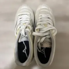 Item thumbnail for item cd591229-8f48-4d4e-81cd-ce197aaa403a