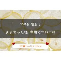 【ꕤ566】不知火デコ【訳あり品☆加工原料】10kg 熊本みかん