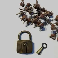 hiro.pi.gaga様 リクエスト 3点 まとめ商品