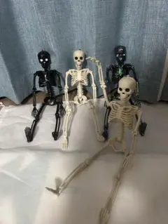 超可動 骸骨 アクションスケルトン 5種コンプリートセット
