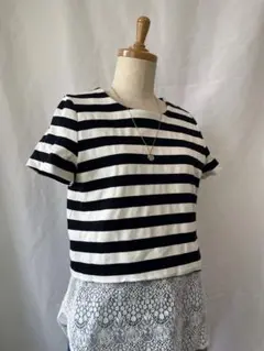 ストライプ クロップドTシャツ 半袖