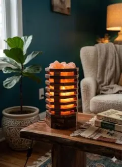 極美品 木製ヒマラヤ岩塩ランプ 調光機能付 天然ウッド 和モダン 癒し