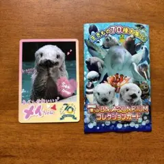 2026年最新】鳥羽水族館 70周年の人気アイテム - メルカリ