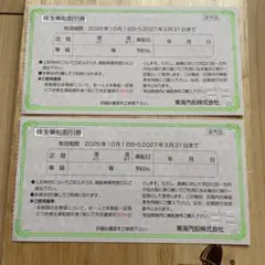 東海汽船 株主乗船割引券 2枚セット おまけ付き！2027年3月31日まで