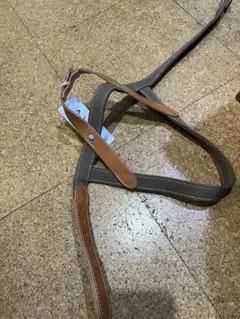 Item thumbnail for item c1ca8c05-1734-482a-9514-a6008869021e