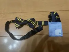 こどもビームス蝶ネクタイ&ポケットチーフ