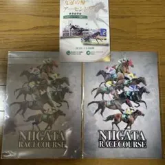 JRA 競馬クリアファイル