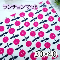 ランチョンマット　30×40　★598のサムネイル