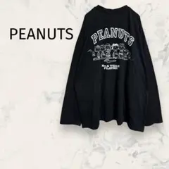 ピーナッツ 長袖プリントTシャツ L 大きめ バックプリント 刺繍 薄手 秋服