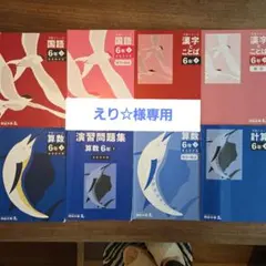 【専用】四谷大塚 予習シリーズ 6年 下 国・算・理・社20冊セット
