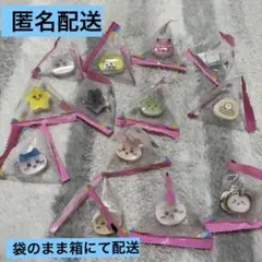 ちいかわ ぷちクリップ 13個セット
