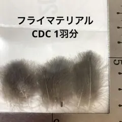 Item thumbnail for item 1dca5b19-1e7c-4f8e-a4c0-5d7ebb2f4227