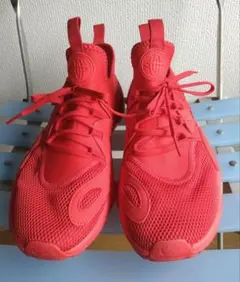 Nike E.D.G.E. スニーカー ハラチレッド　ナイキハラチ