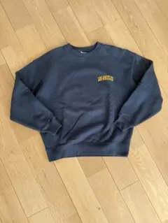 Item thumbnail for item 6a50dd9c-673e-4bc5-9793-8a1966c344ec