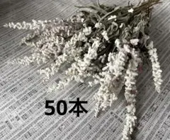 アチ様 リクエスト 2点 まとめ商品