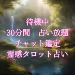 霊感タロット鑑定｜30分間占い放題｜チャット鑑定【鑑定書付】