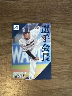 清水昇 カルビー 2024 プロ野球チップス