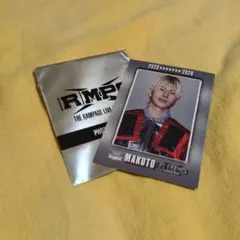 長谷川　慎　フォトカード