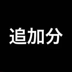 追加分