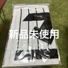 千葉ロッテマリーンズ タオル ストライプデザイン