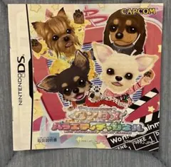 ニンテンドーDS ソフト　ワンタメ バラエティ　チャンネル