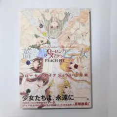 2025年最新】ローゼンメイデン 画集の人気アイテム - メルカリ