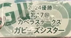 アイドルホースミニコレクションvol.41 馬　競馬　ガビーズシスター