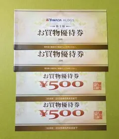 ヤマダ電機　ヤマダホールディングス　株主優待　11,000円分