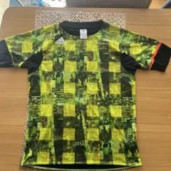 Item thumbnail for item ef6e67b0-5e05-4367-af50-3e275761c91c