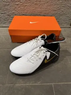 Item thumbnail for item e3e13c3a-2b15-49b1-8a38-bbec627e7025