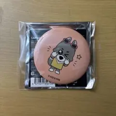 SEVENTEEN miniteen ミニティーン エスクプス 缶バッジ - メルカリ