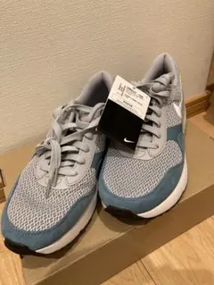 Nike エアマックス DM9537-006 グレー/ブルー