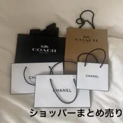 紙袋　CHANEL COACH ショッパー まとめ売り