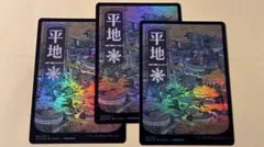 神河 輝ける世界 基本土地 森foil 2種セット - メルカリ