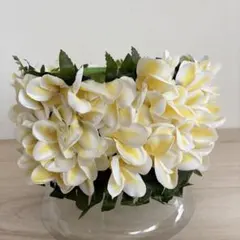 Item thumbnail for item 8d00c43f-9234-41ca-b453-9157aa7b60e5