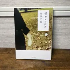 愛がなんだ 角田光代 角川文庫