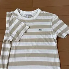 LACOSTE ラコステ ボーダー Tシャツ ベージュ ホワイト FR4のサムネイル