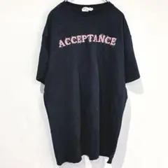 ⭐️★ ギルダン 半袖 ビッグサイズ Tシャツ 黒 L 着回し抜群シンプルコットン